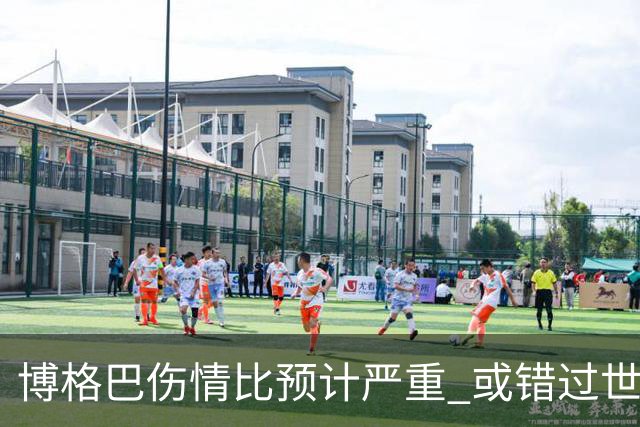 博格巴伤情比预计严重 或错过世界杯到明年才复出